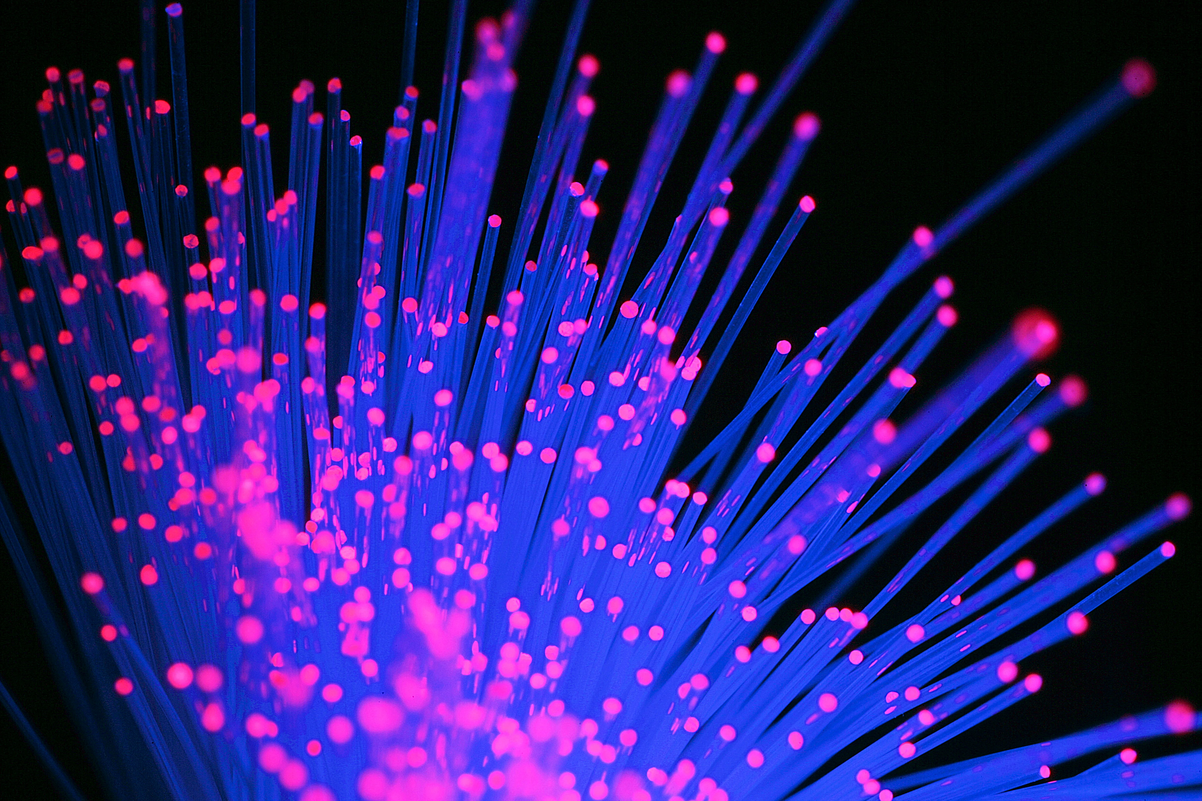 Titelmotiv der Strategiebroschüre Digitalprogramm 2025 des Landes Brandenburg